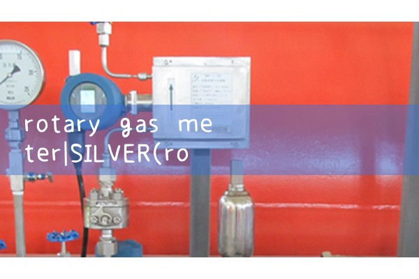 rotary gas meter|venturi meter